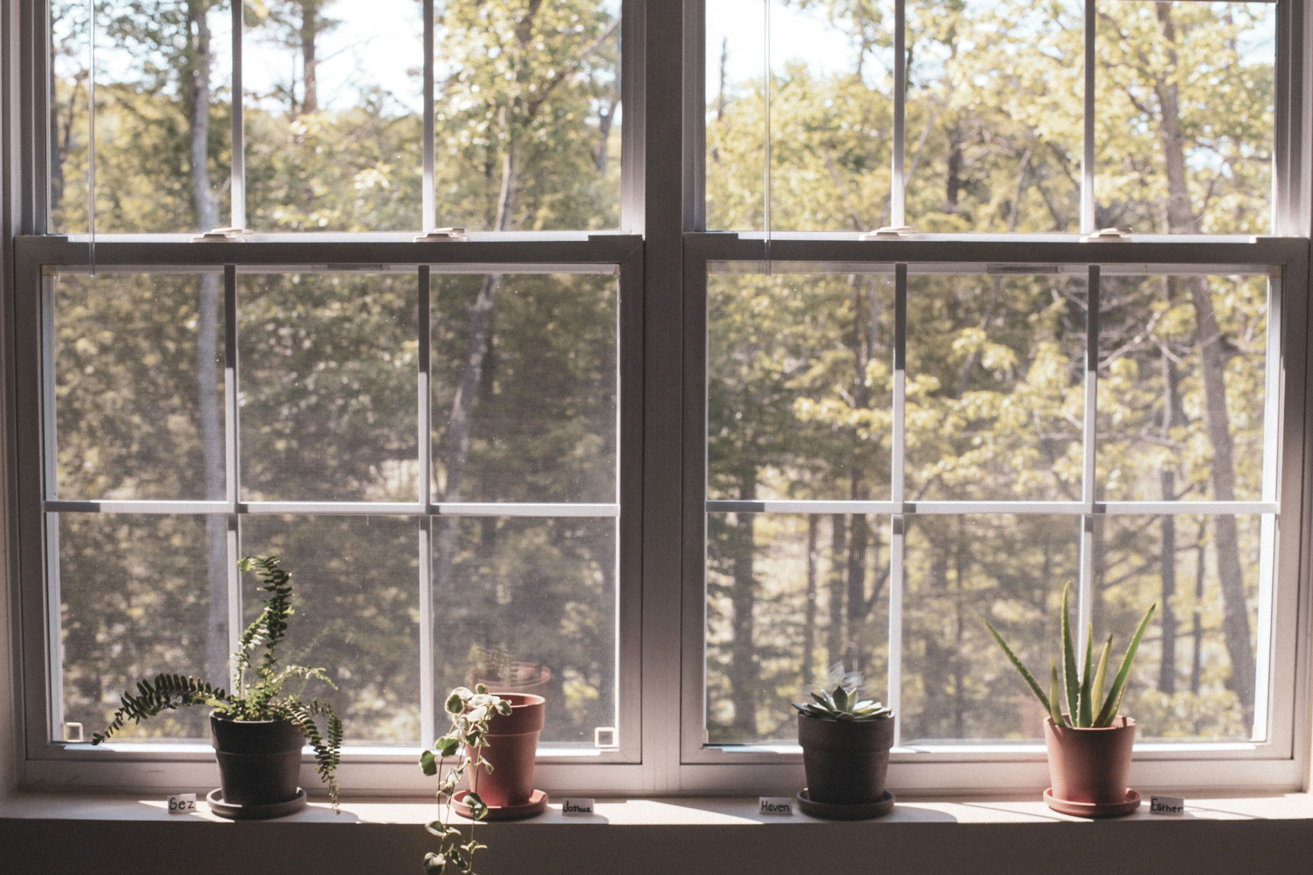 5 things to elevate your mood at home
